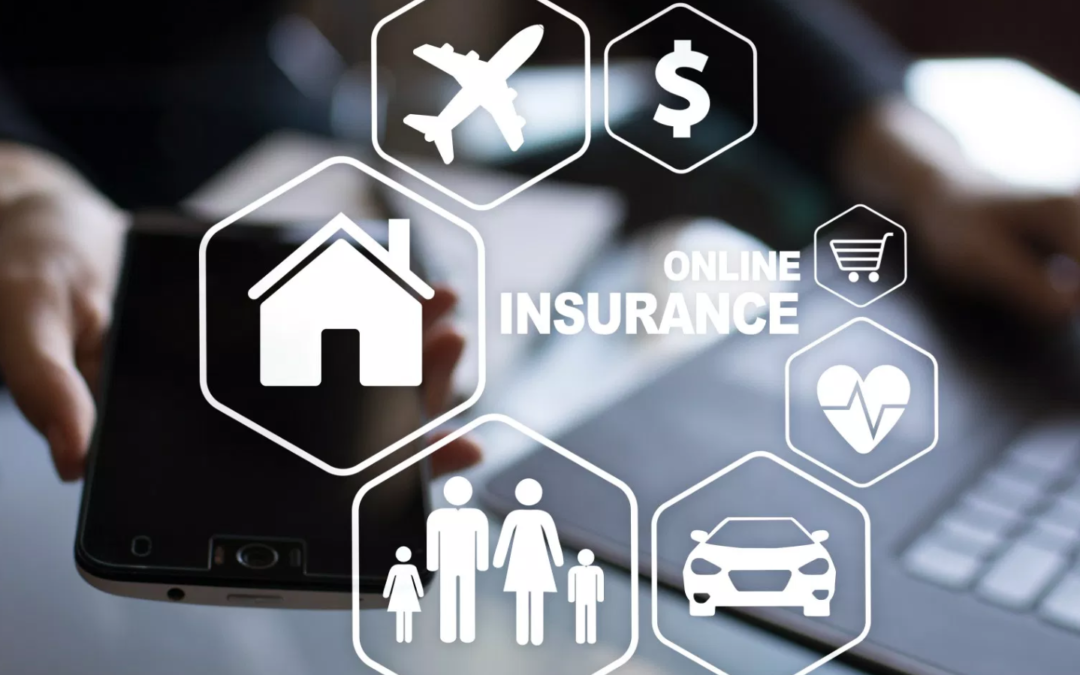 Marketing internship at TP Insure